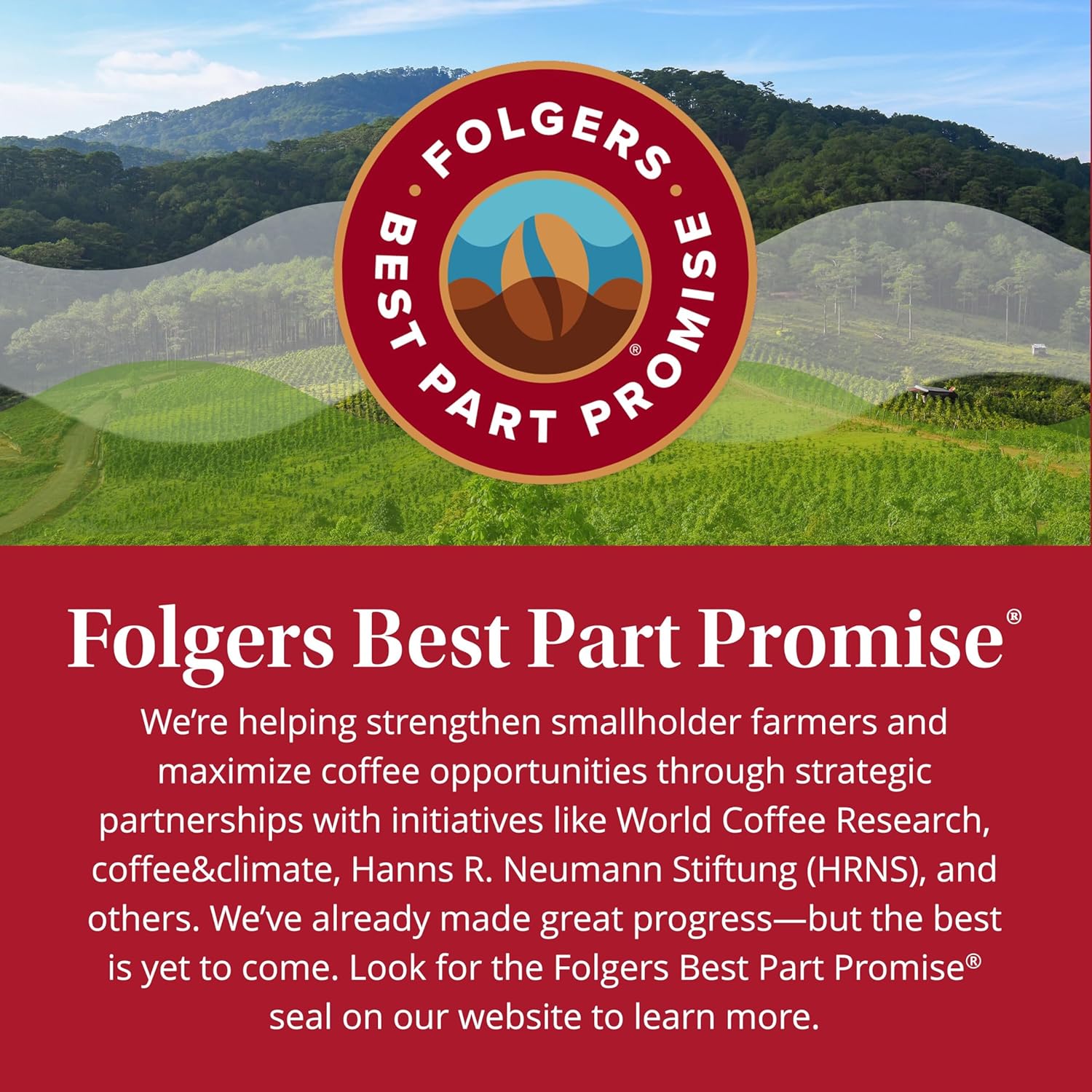 Folgers Classic Roast Instant Coffee – Compact Camping Coffee with No Gear or Brewing Setup